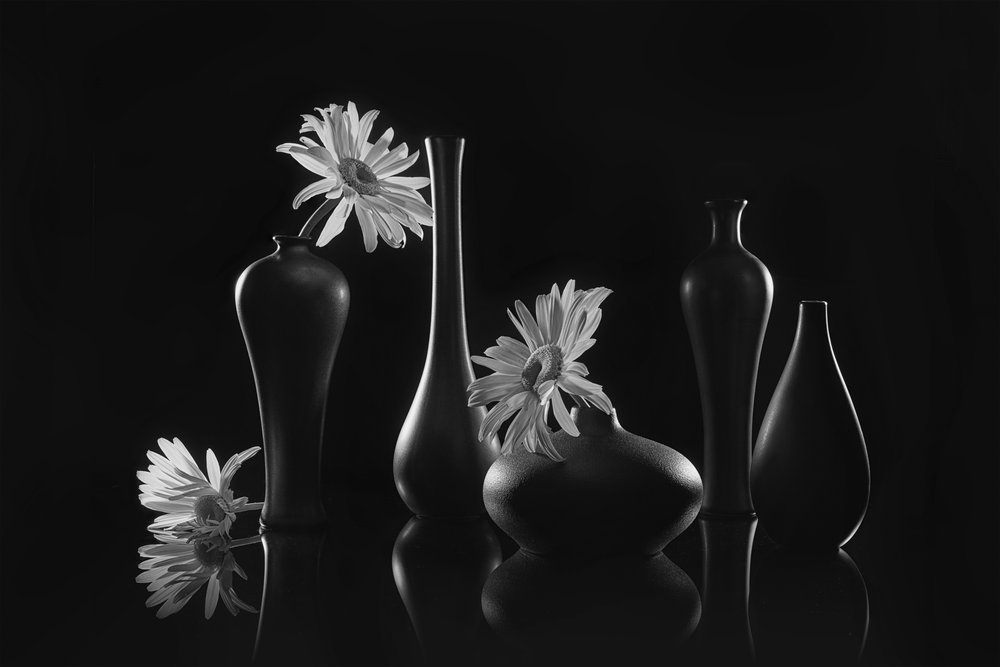 Natureza morta elegante com margaridas de Lydia Jacobs
