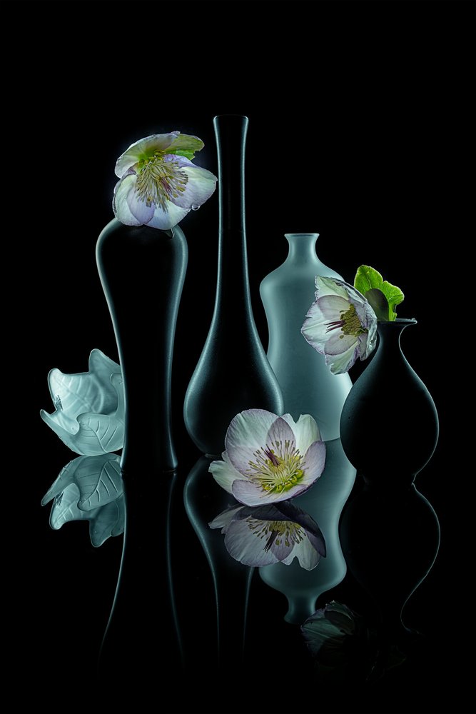 Brilho Floral Elegante de Lydia Jacobs