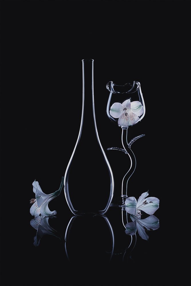 Orquídeas elegantes em vidro de Lydia Jacobs