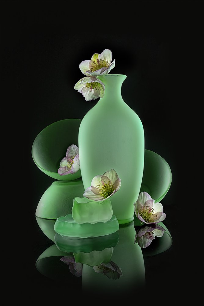 Floral Verde Elegante de Lydia Jacobs
