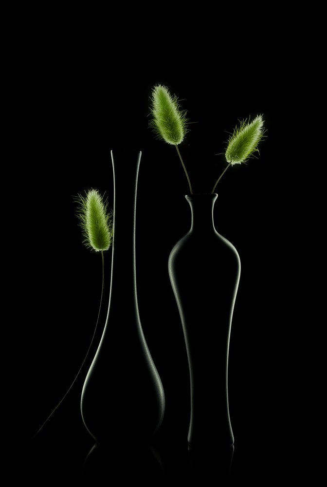 Natureza morta verde elegante de Lydia Jacobs