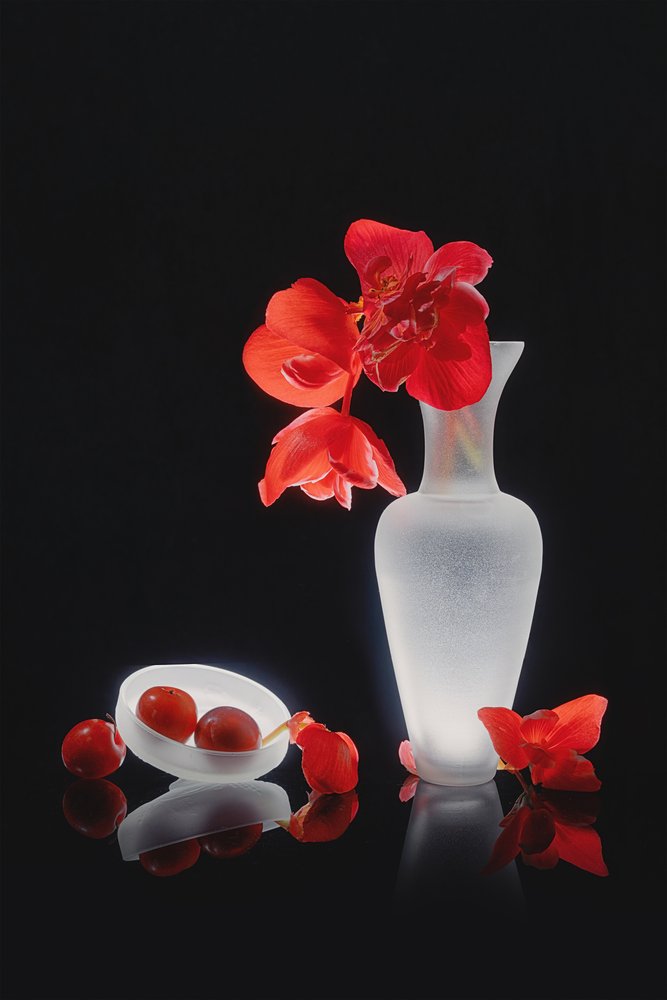 Natureza morta elegante em vermelho de Lydia Jacobs