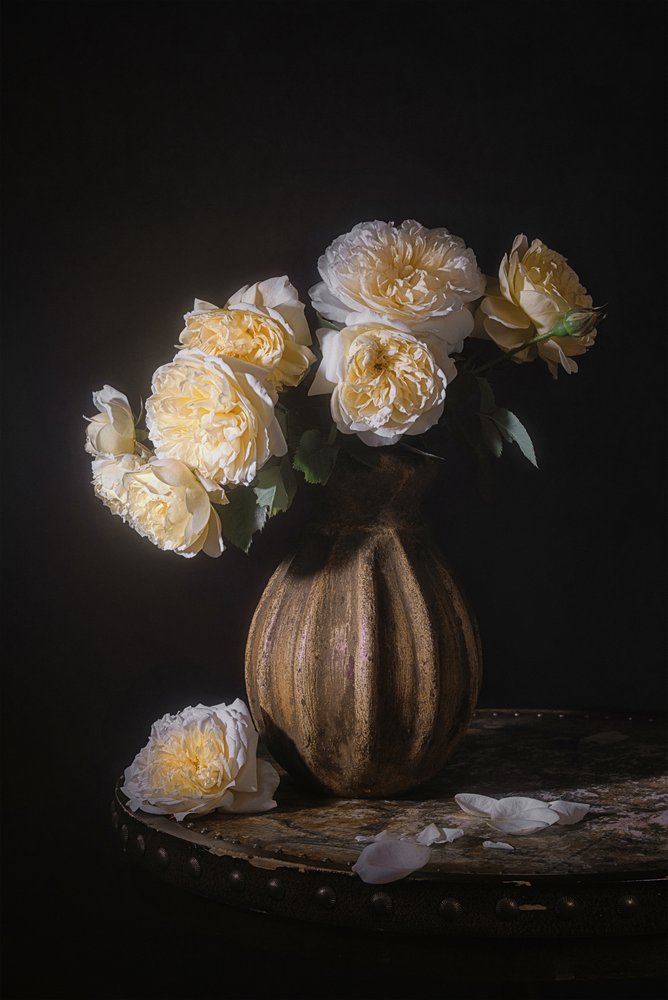 Natureza morta com rosas elegantes de Lydia Jacobs