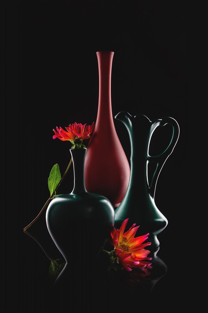 Vasos Elegantes em Flor de Lydia Jacobs