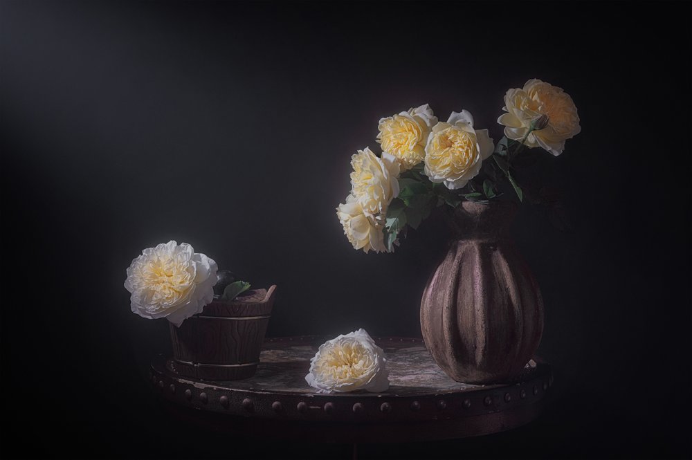 Rosas amarelas elegantes de Lydia Jacobs
