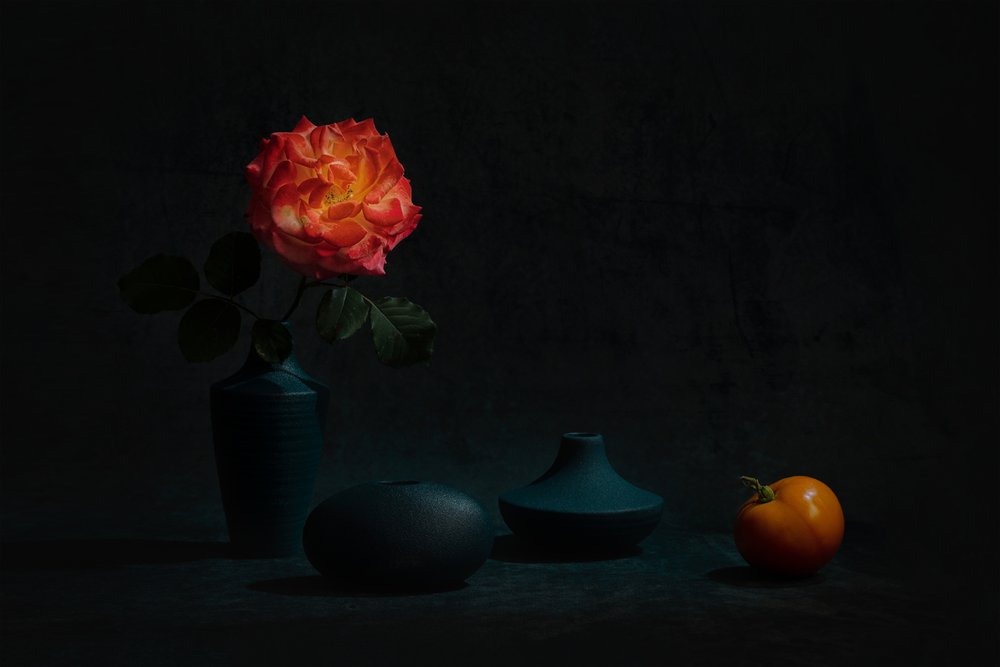 Rosa Laranja Brilhante de Lydia Jacobs