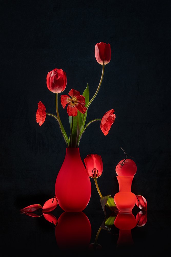 Tulipas vermelhas brilhantes e vasos de Lydia Jacobs