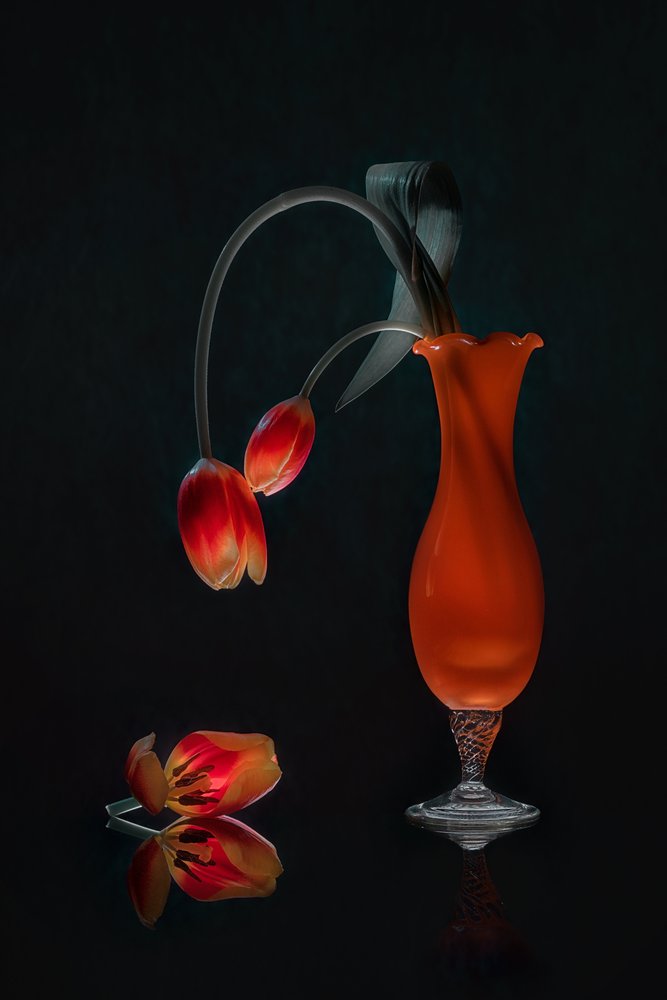 Natureza morta com tulipas resplandecentes de Lydia Jacobs