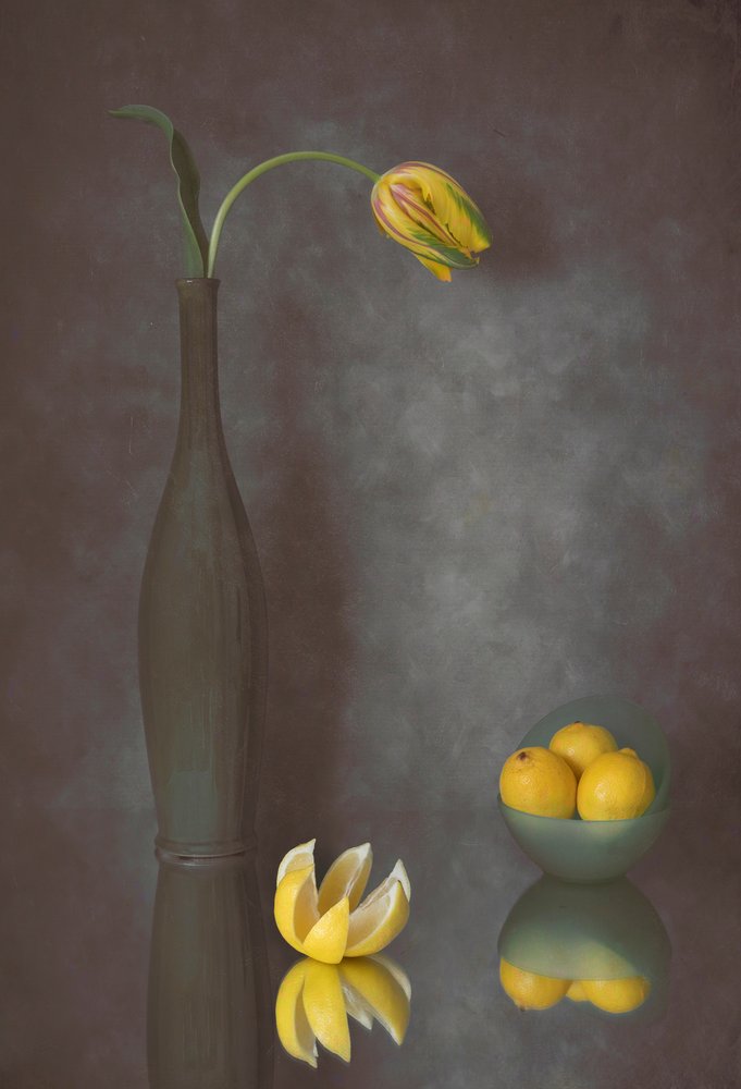Tulipas e limões elegantes de Lydia Jacobs
