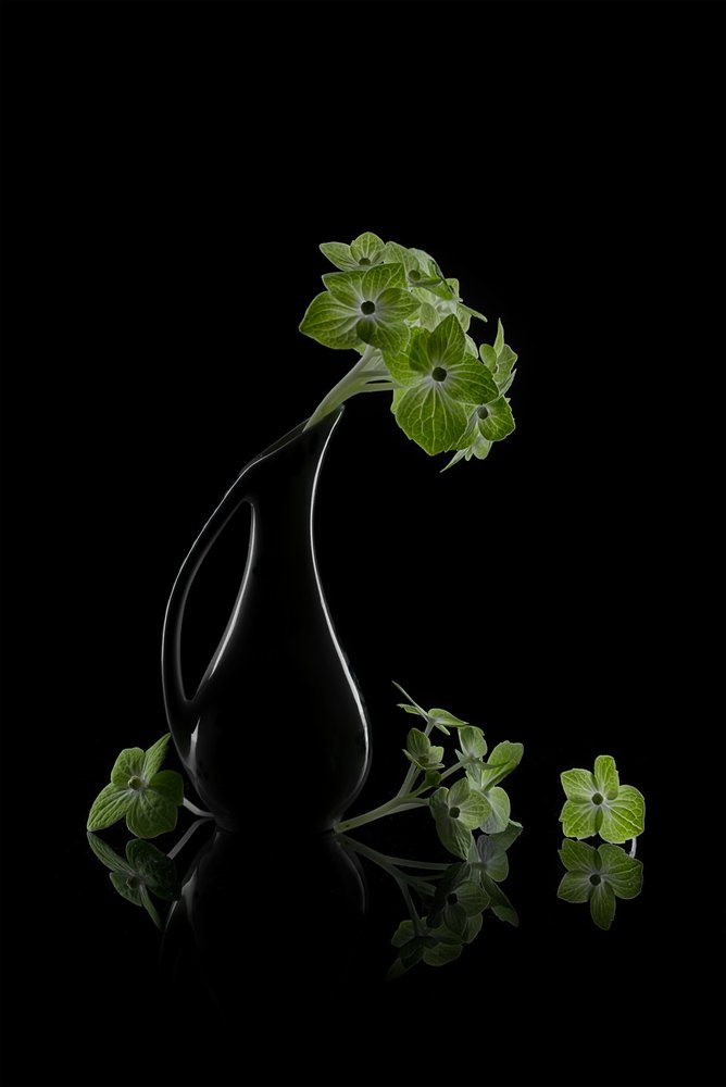 Reflexão sobre as Flores Verdes de Lydia Jacobs