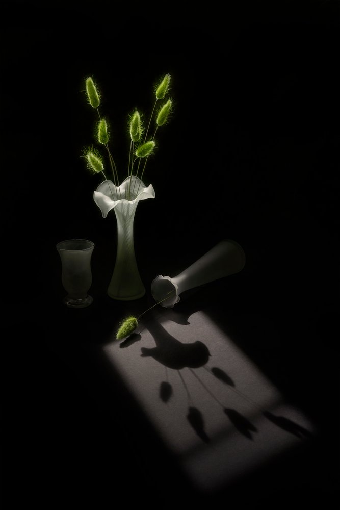 Plantas Verdes e Sombra de Pássaro de Lydia Jacobs