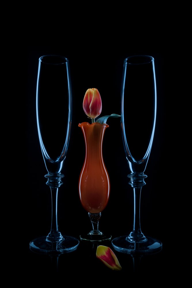 Flutes «Intimate Tulip» de Lydia Jacobs