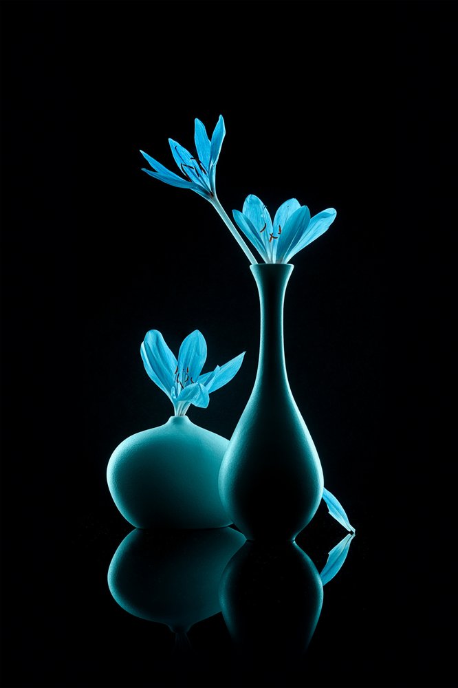 Natureza morta em azul luminoso de Lydia Jacobs