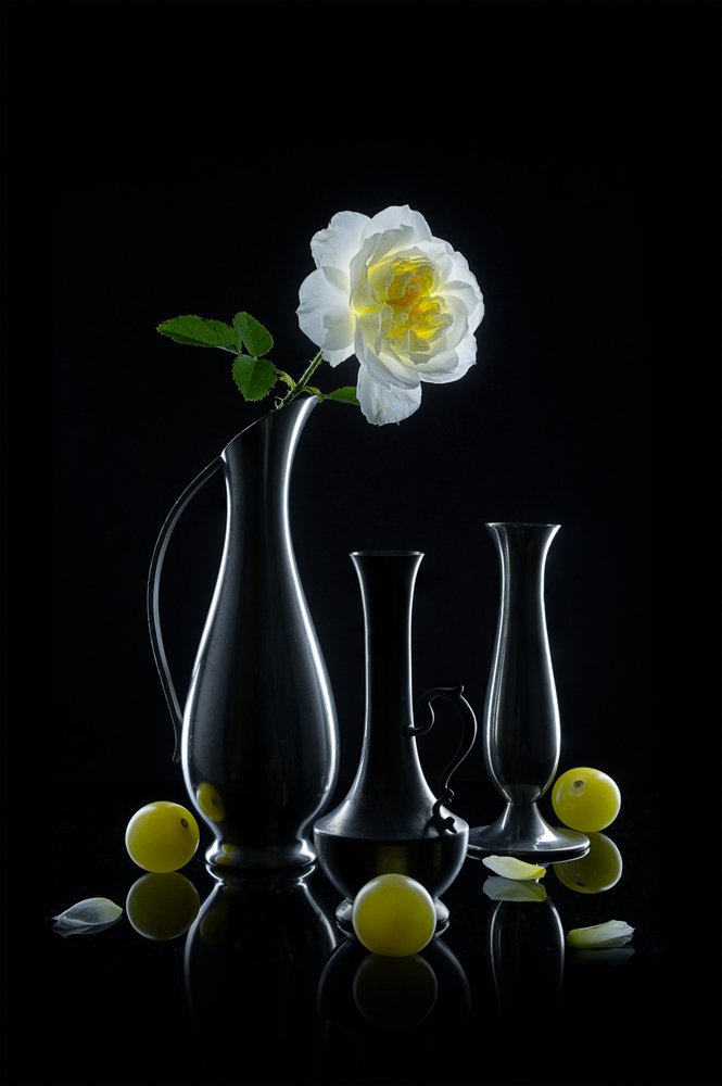 Rosa Luminosa e Vasos de Lydia Jacobs
