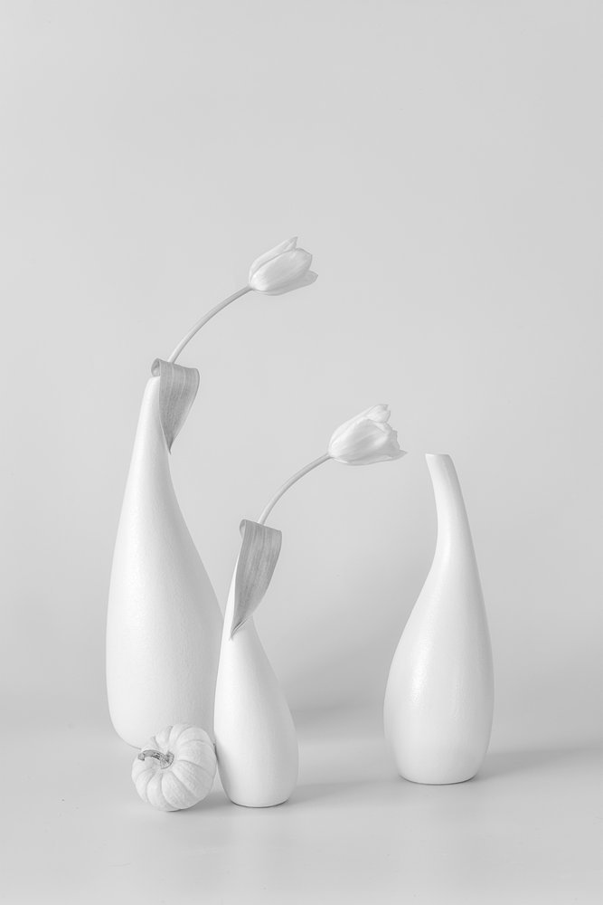 Tulipas brancas minimalistas de Lydia Jacobs
