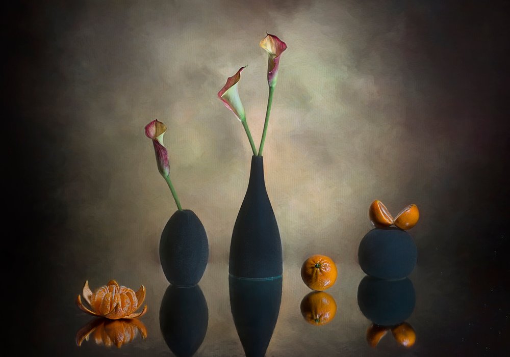 Lírios Calla Moody Laranjas de Lydia Jacobs