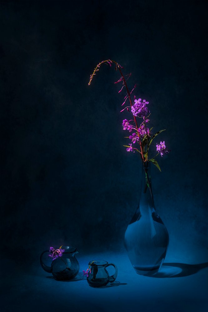 Natureza morta com erva-de-fogo «Moody» de Lydia Jacobs