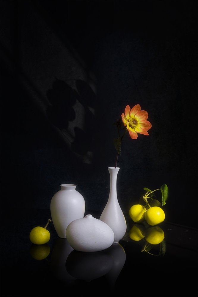 Moody: Flores e Frutas de Lydia Jacobs