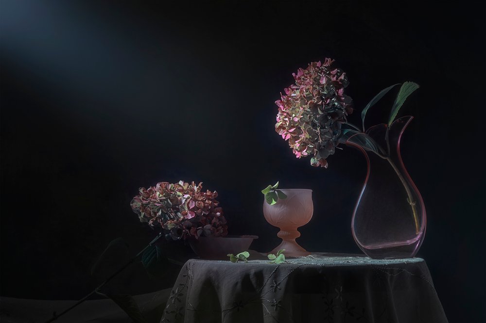 Natureza morta com hortênsias melancólicas de Lydia Jacobs