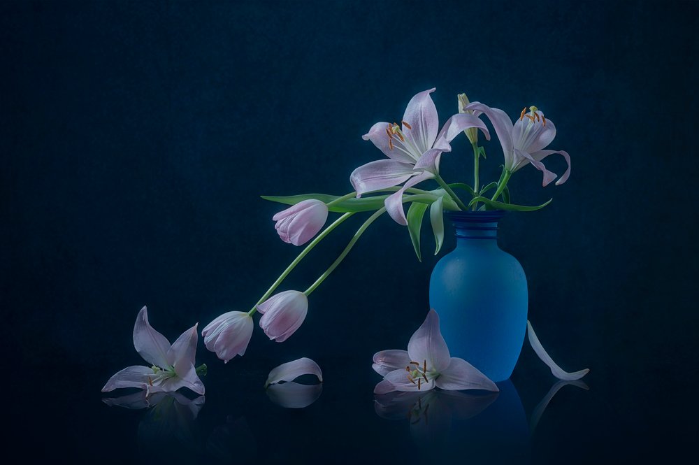 Lírios e tulipas melancólicos de Lydia Jacobs