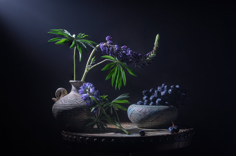 Lupinos e bagas melancólicos de Lydia Jacobs