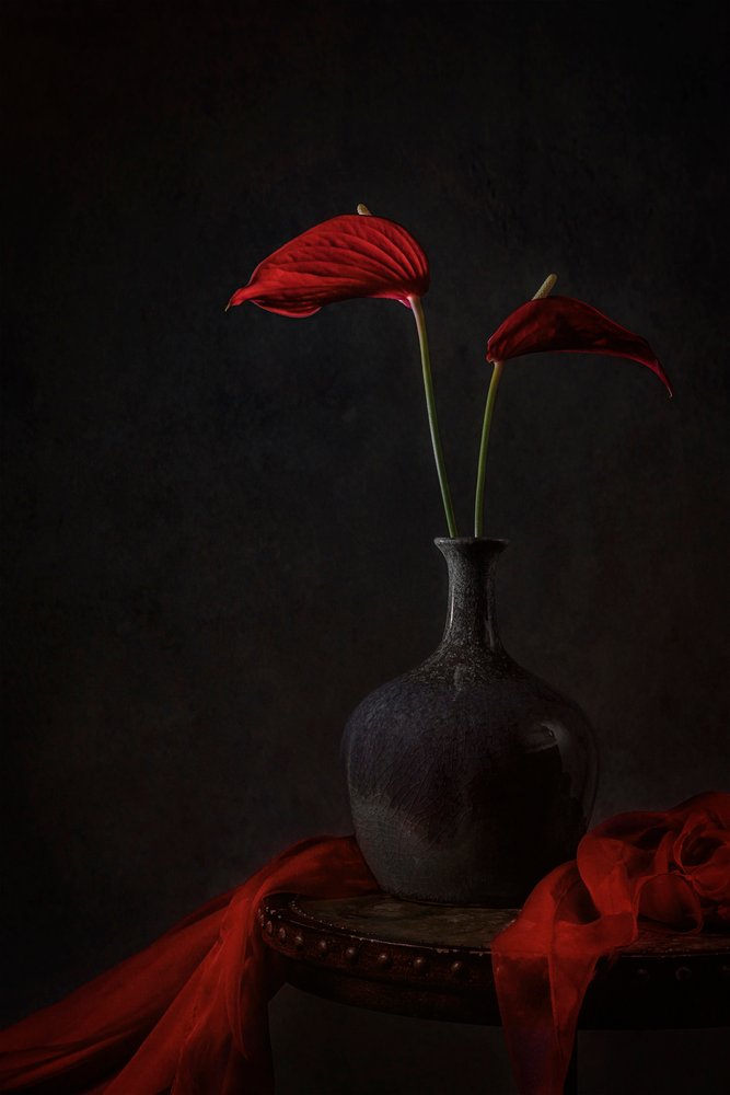 Anthuriums Moody Red de Lydia Jacobs