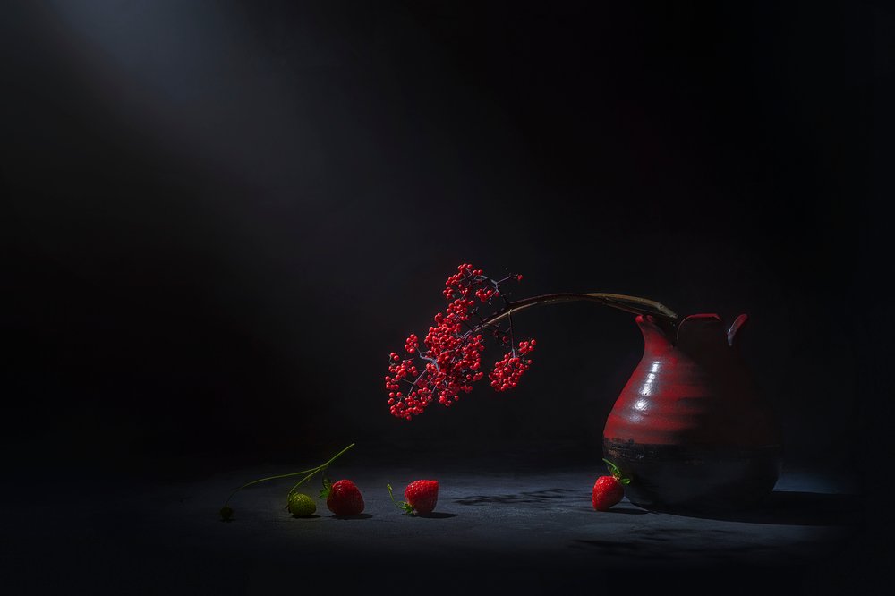 Frutos Vermelhos Melancólicos de Lydia Jacobs