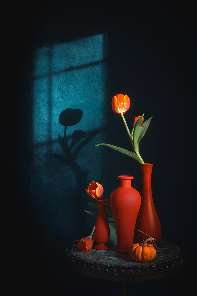 Natureza morta com tulipas melancólicas de Lydia Jacobs