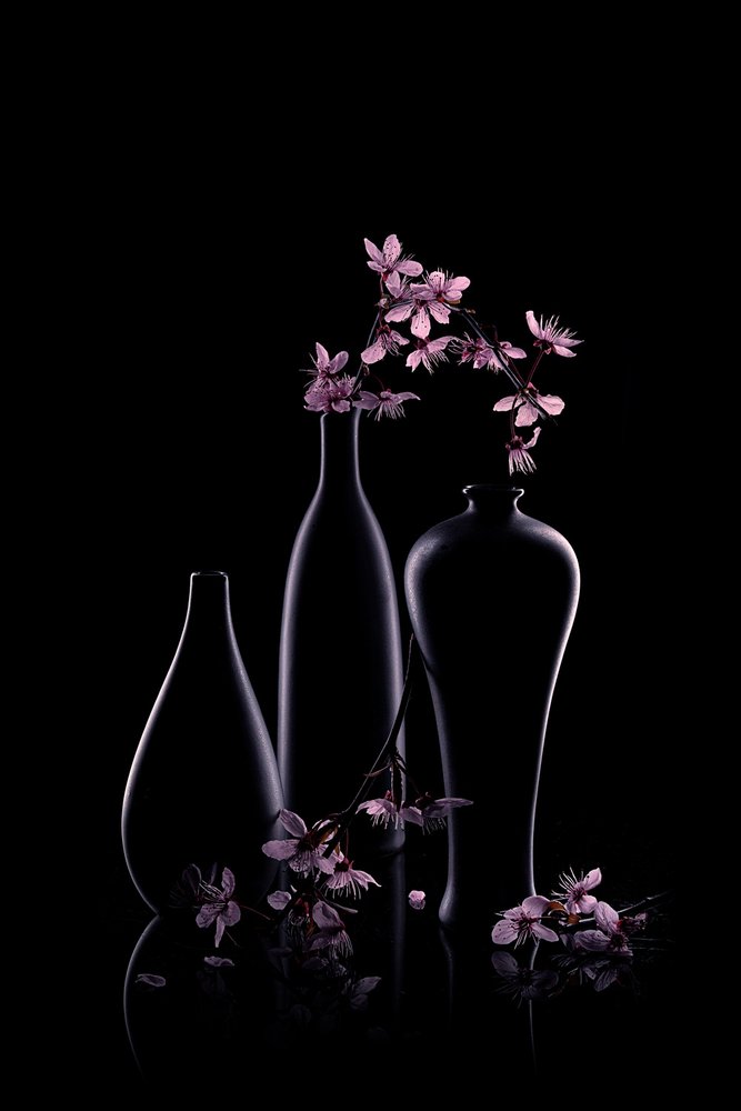 Flores cor-de-rosa em vasos escuros de Lydia Jacobs
