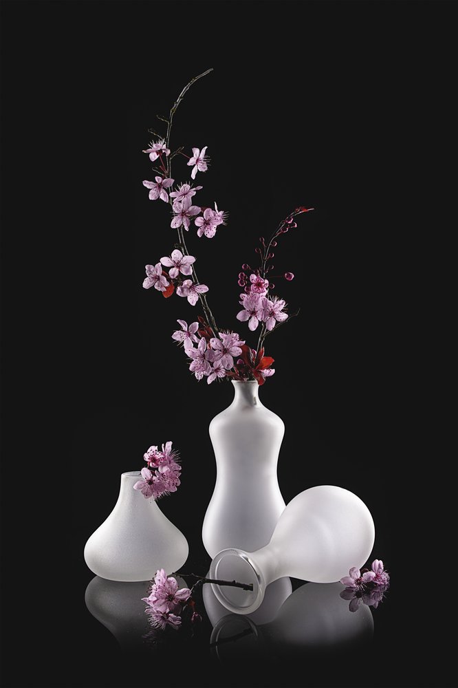 Vasos com acabamento fosco e flores cor-de-rosa de Lydia Jacobs