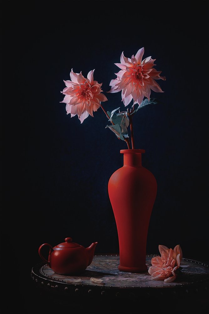 Dálias cor-de-rosa num vaso vermelho de Lydia Jacobs