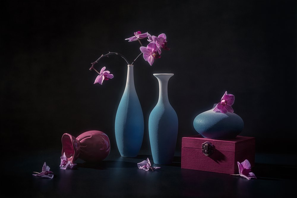 Orquídeas cor-de-rosa e vasos de Lydia Jacobs