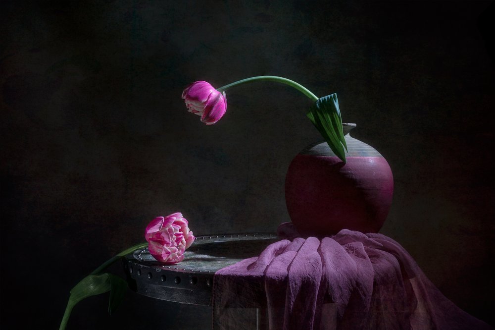 Natureza morta com tulipas cor-de-rosa de Lydia Jacobs
