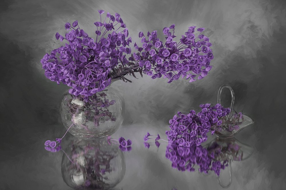 Reflexão sobre as Flores Roxas de Lydia Jacobs