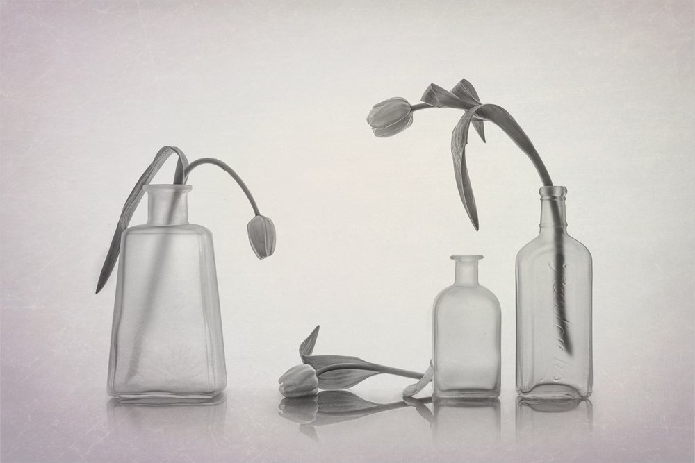 Natureza morta tranquila com tulipas de Lydia Jacobs