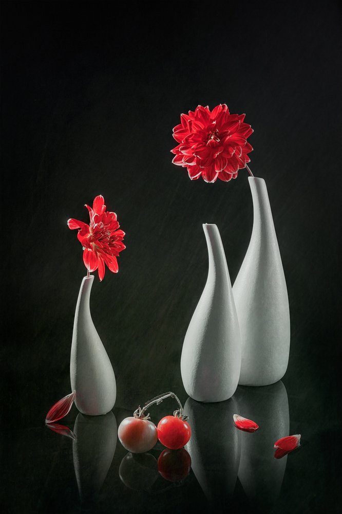 Dálias vermelhas e vasos de Lydia Jacobs