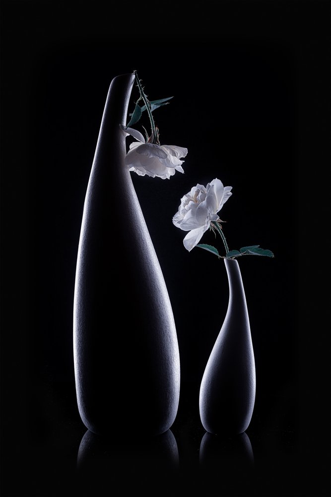 Vasos Shadow com Rosas Brancas de Lydia Jacobs