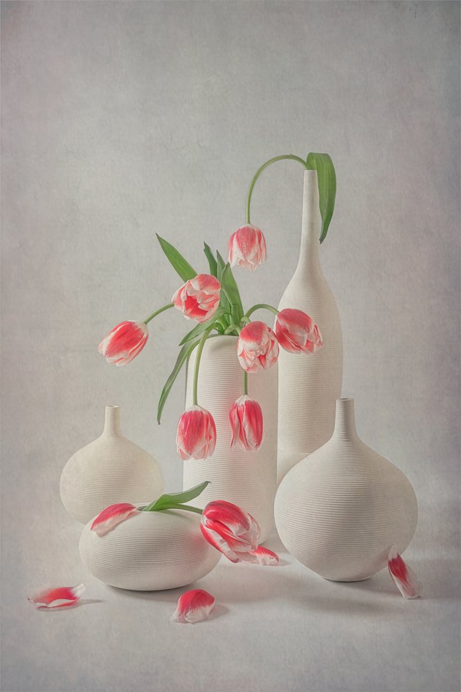 Tulipas rosa claro de Lydia Jacobs
