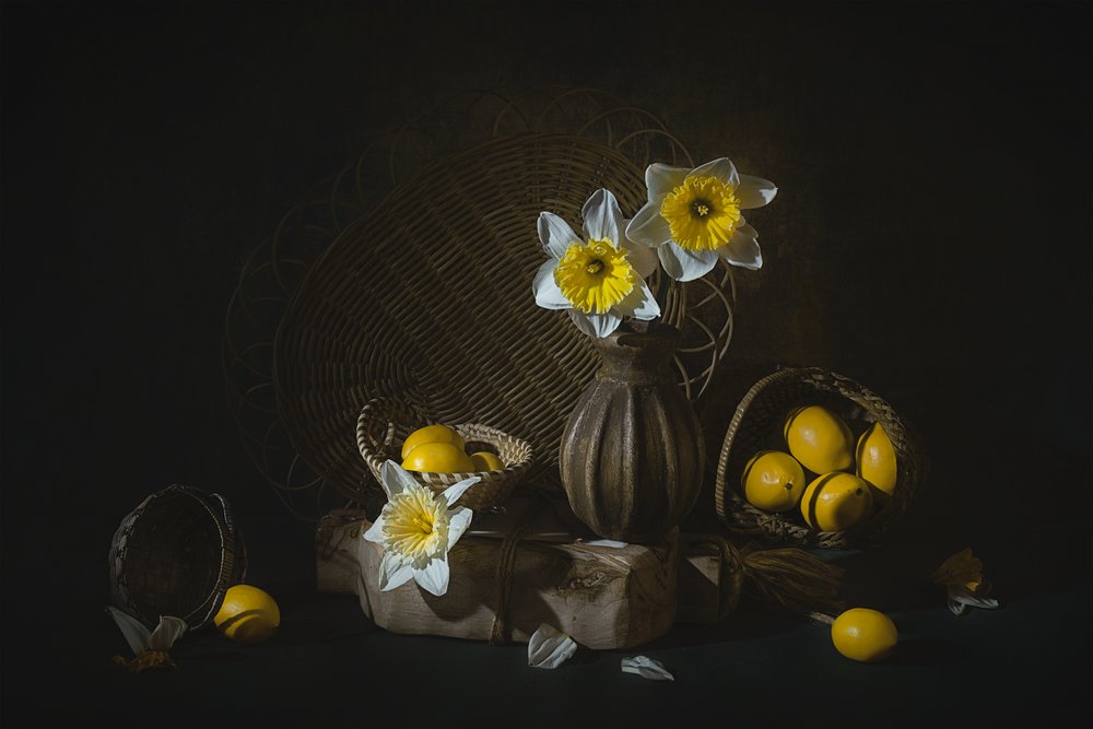 Narcisos da Primavera e Limões de Lydia Jacobs