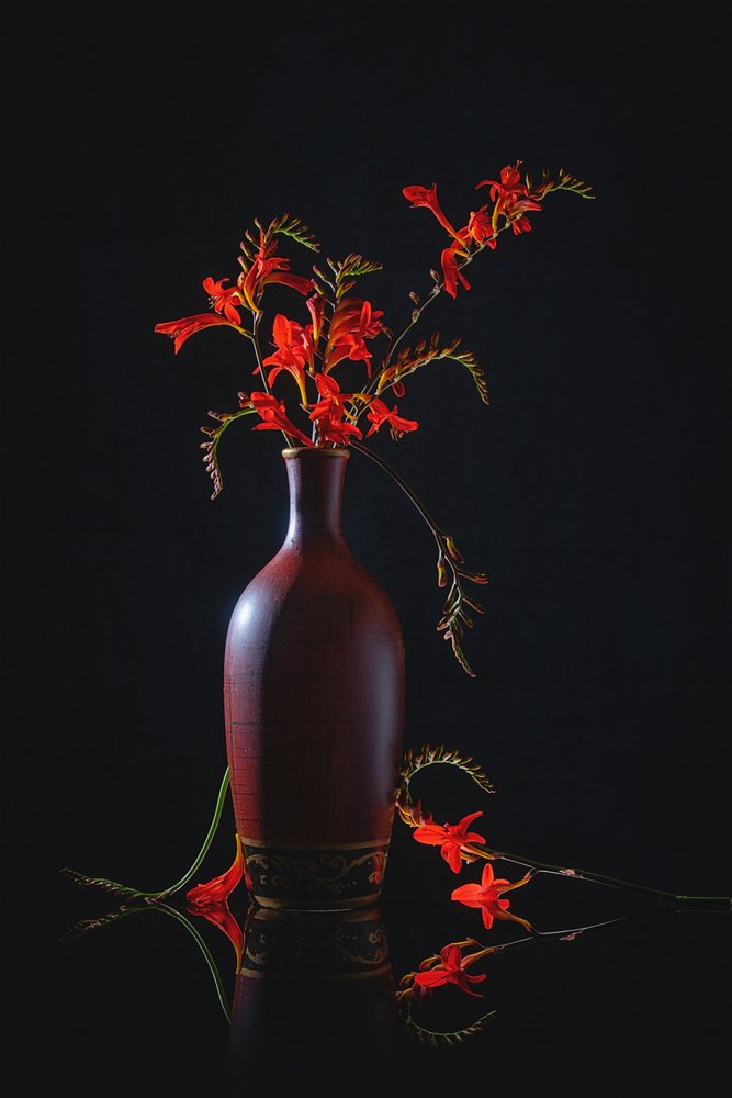 Natureza morta em vermelho vibrante de Lydia Jacobs
