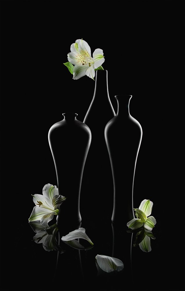 Flores brancas, vasos escuros de Lydia Jacobs