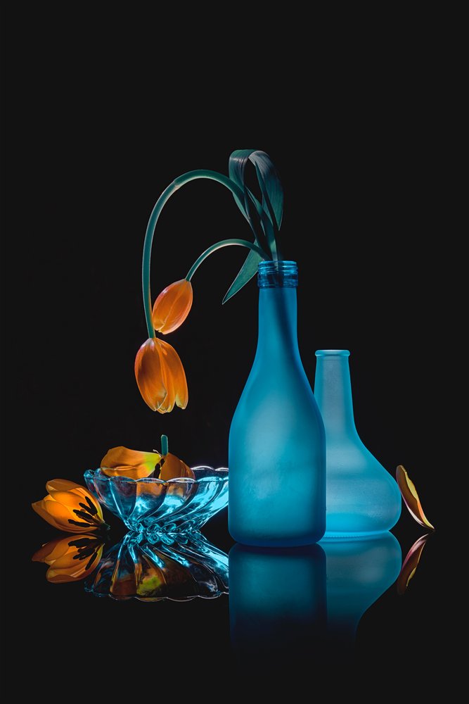 Natureza morta com tulipas murchas de Lydia Jacobs