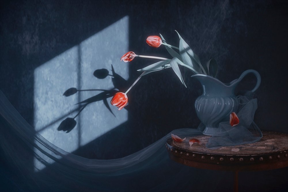 Tulipas à luz da janela de Lydia Jacobs