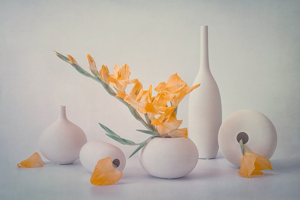Flores amarelas em vasos brancos de Lydia Jacobs
