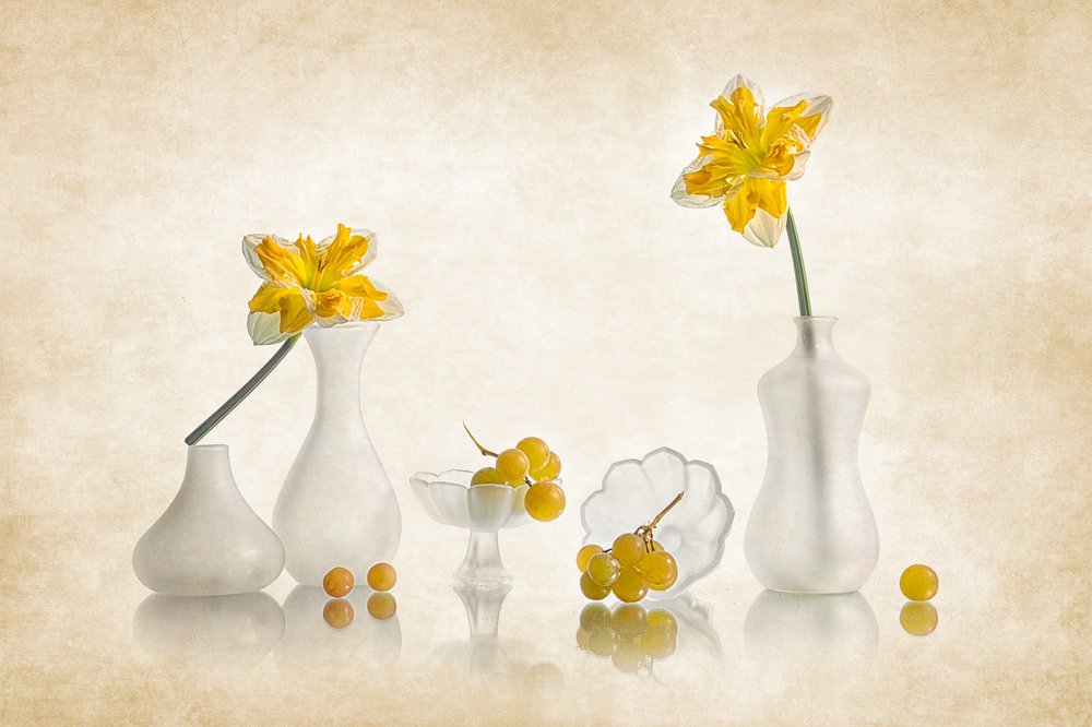 Narcisos amarelos e uvas de Lydia Jacobs