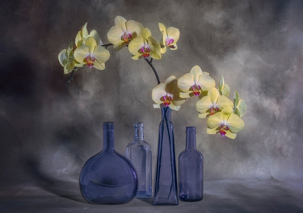 Orquídeas Amarelas em Vidro Azul de Lydia Jacobs