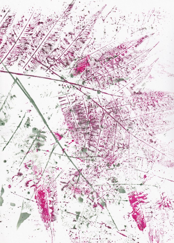 Folhas de feto abstratas de Maira Ribena