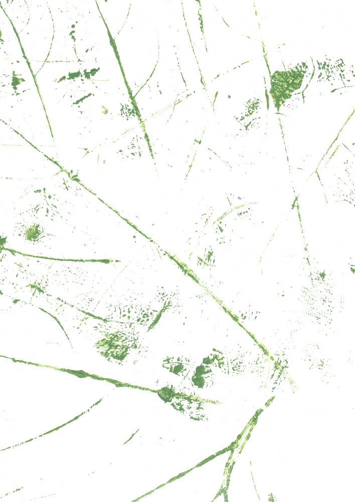 Linhas verdes abstratas de Maira Ribena