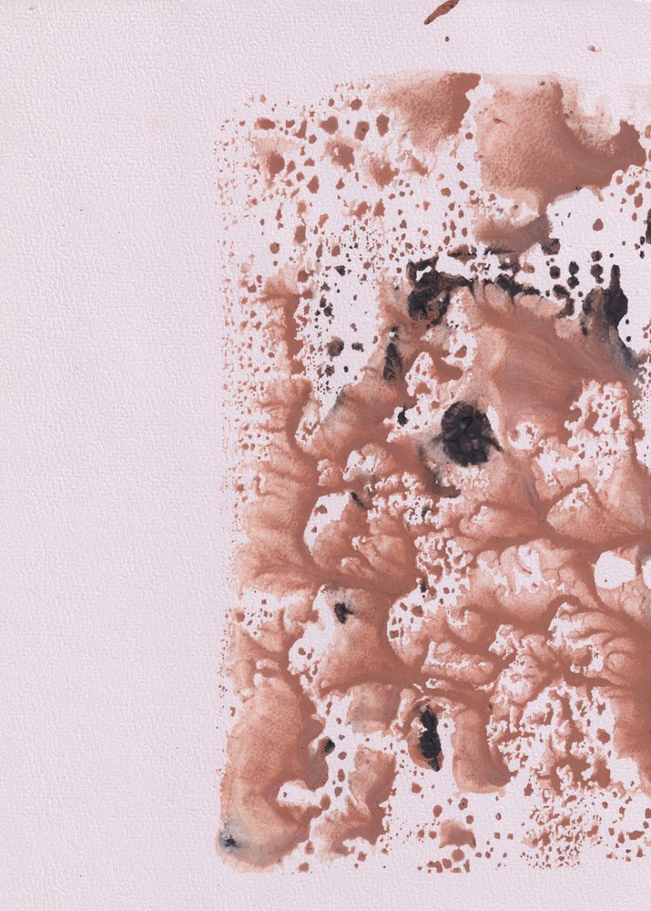 Fluxo Orgânico Abstrato de Maira Ribena