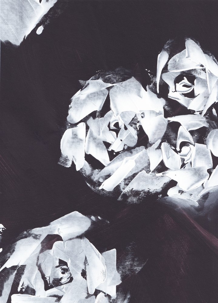 Abstrato floral branco de Maira Ribena